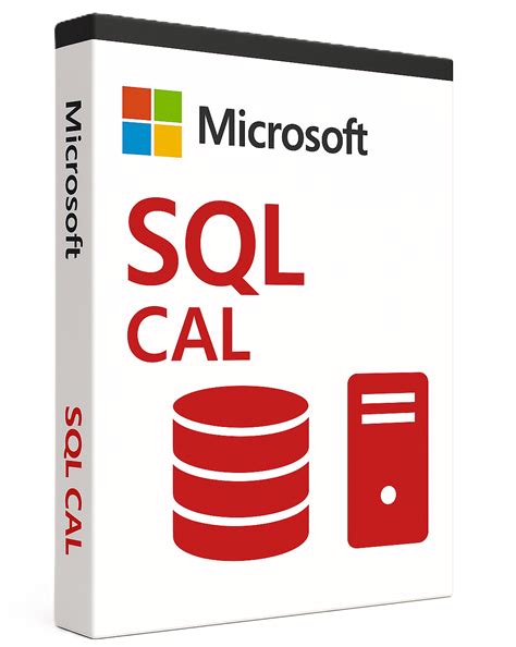 Image result for Server SQL Cal