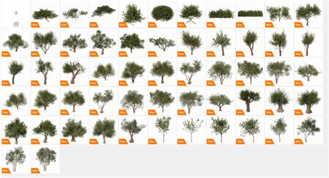 Tree Revit Enscape に対する画像結果