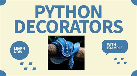 Image result for Python Time Decorator