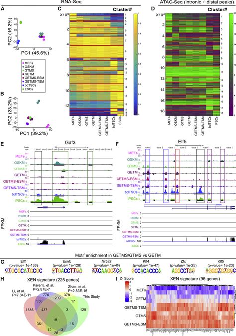 Image result for Comparative Transcriptome
