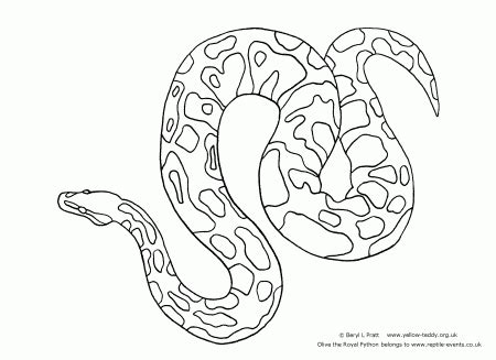 Ball Python Coloring Pagw に対する画像結果