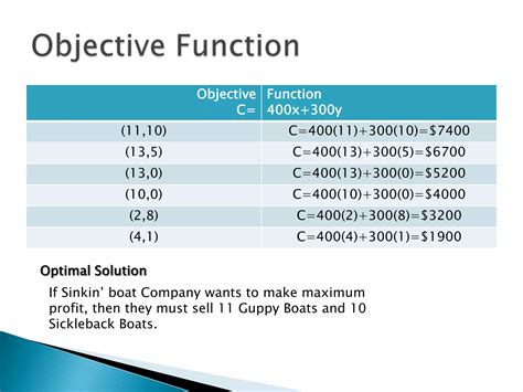 Image result for Designs for Linear Programming Project