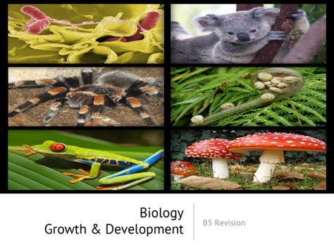 Define Biological Development に対する画像結果