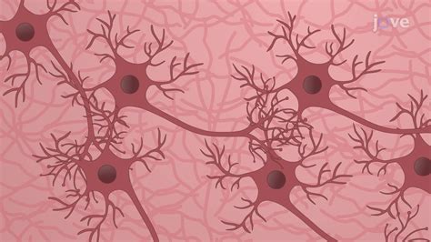 Toradh íomhá ar Reprogramming Cells