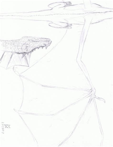 Image result for How to Draw Dragons