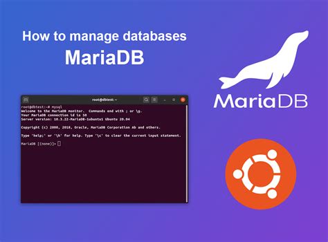 MariaDB Workspace に対する画像結果