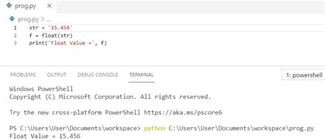 Image result for What Is String and Float in Python
