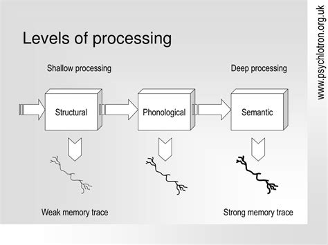 Image result for Memory Processing Model