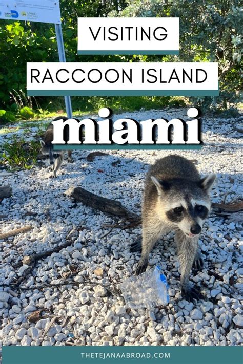 Image result for Raccoon Scats Identification Chart