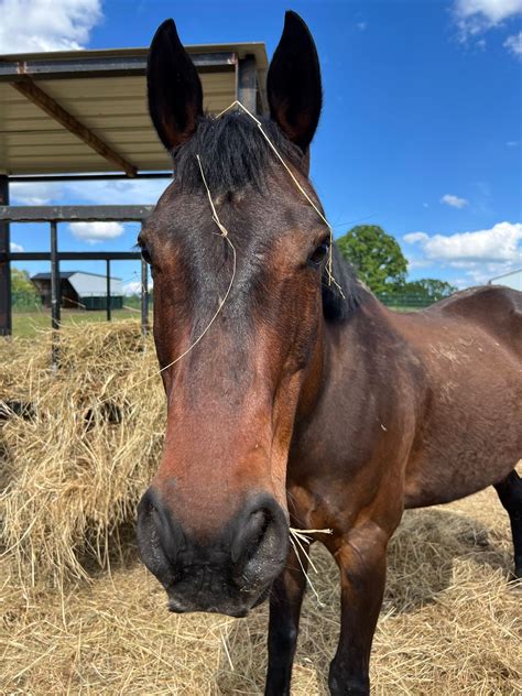 Image result for Facebook Loading Interface Image