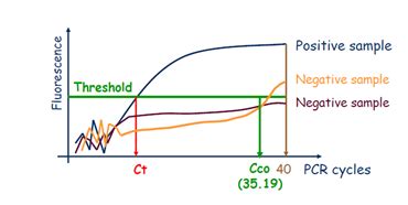 Image result for PCR Test CT Value