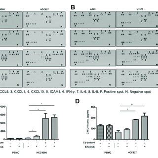 Afbeeldingsresultaten voor Array Analysis Logo