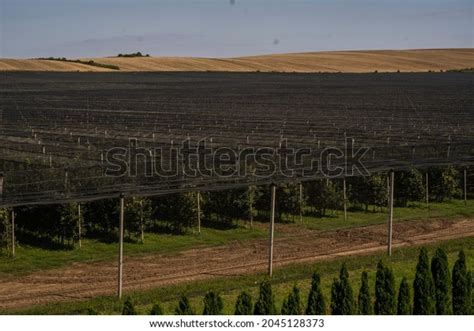 Image result for Edge Impulse Vineyard Irrigation