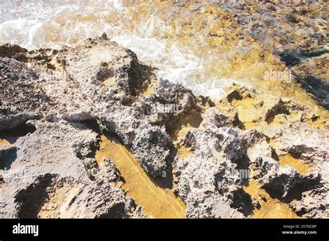 Rainfall Formation に対する画像結果