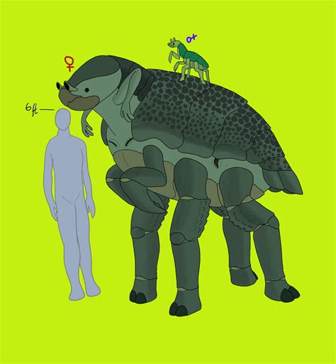 Toradh íomhá ar Alien Species Outline