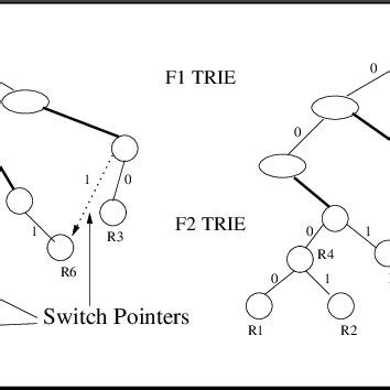 Tri Data Structure に対する画像結果