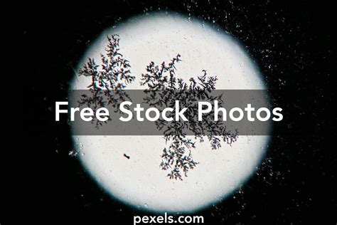 Image result for Ice Under Microscope