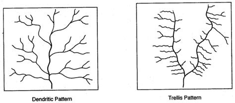 Topographical Map for Class 10 ICSE に対する画像結果