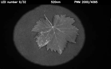 Image result for Multispectral Imaging System
