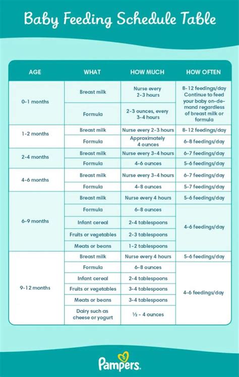 Afbeeldingsresultaten voor 6 Month Old Baby Routine