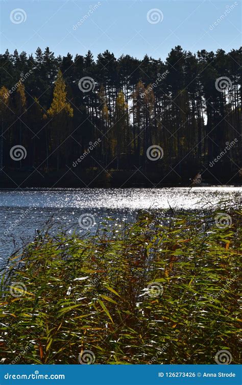 Image result for Latvia Scenery