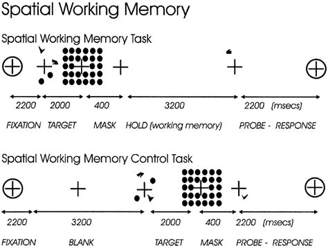 Dual Working Memory Task Logo に対する画像結果
