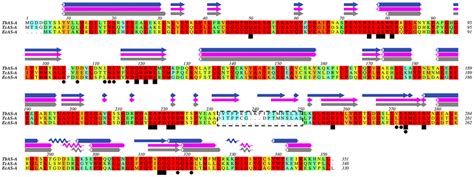 Image result for Protein Sequence Alignment
