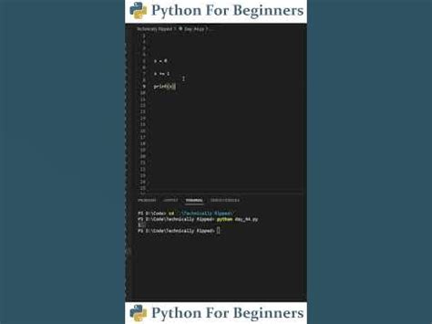Image result for How to Increment in Python