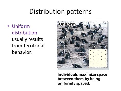 Image result for Distrubtion Patterns Graphics
