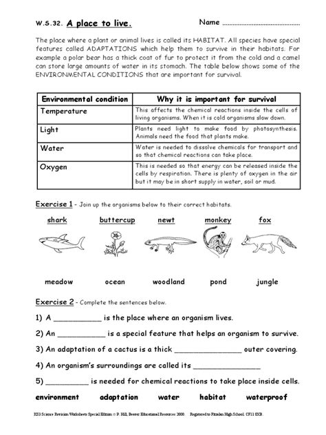 Image result for KS3 Science Revision Worksheets