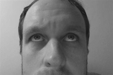 Fat Chocobo Ff4 DS に対する画像結果