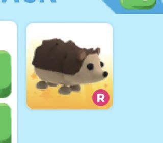 Image result for Adopt Me Ride Pet