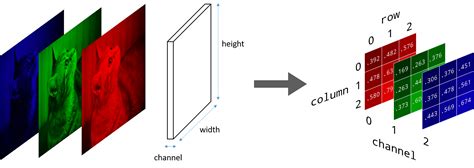 Image result for Convolution Example in Computer Vision