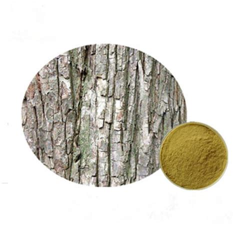 Image result for Elm Tree Bark Extract