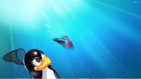 Linux Windows Background for PowerPoint కోసం చిత్ర ఫలితం