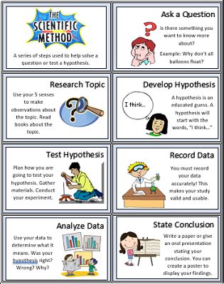 Science Procedure Example に対する画像結果