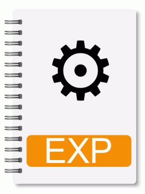 Image result for Open Exp File