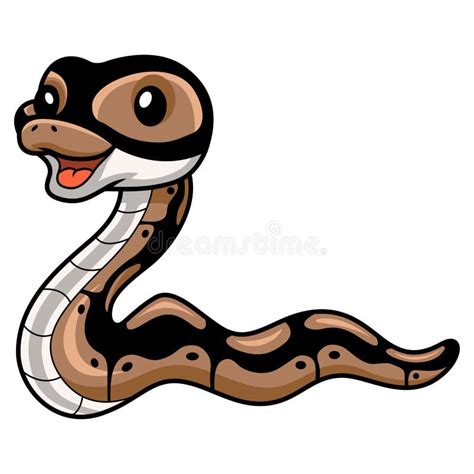 Afbeeldingsresultaten voor Ball Python Transparent Background