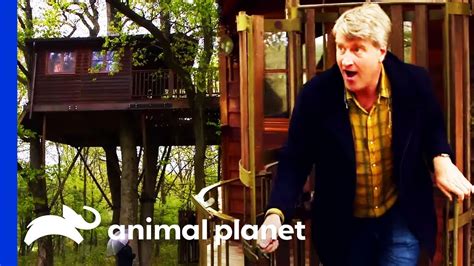 Dilbert Treehouse Engineer に対する画像結果