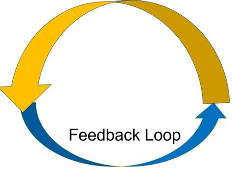 Image result for Generic Feedback Loop Examples
