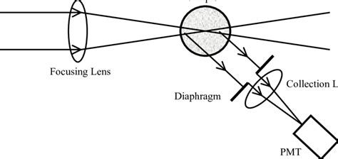 Image result for Dynamic Light Scattering Sample