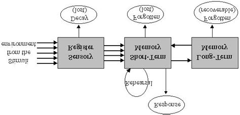 Image result for Components of Information Processing Model