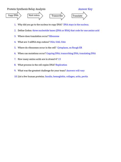 Image result for Protein Making Synthesis Lab Answer Key