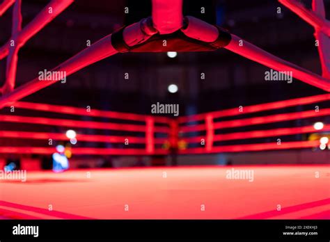 Showtime Boxing Arena Lights に対する画像結果