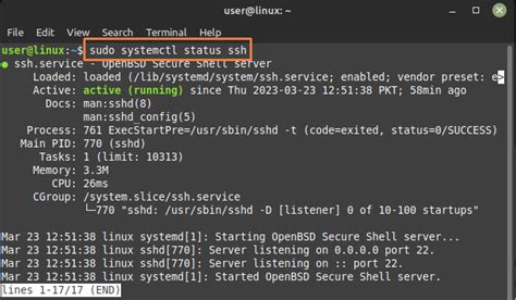 Image result for Linux Mint CLI Commands