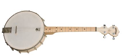 Afbeeldingsresultaten voor 4 String Banjo