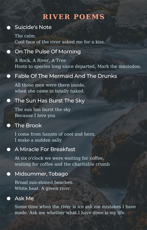 Afbeeldingsresultaten voor River Diagram No Words