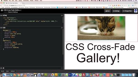 Image result for Fade in Animation CSS