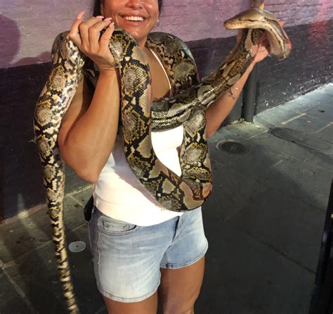 Toradh íomhá ar Python Squeeze Force