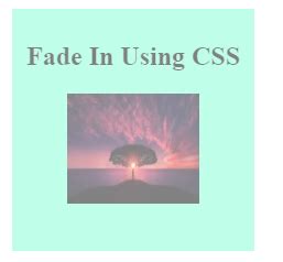 Image result for Fade in Animation CSS